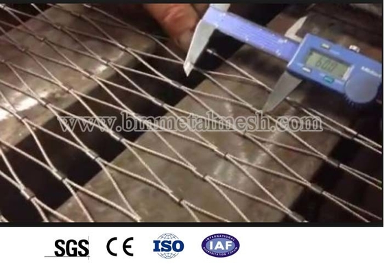 Free Sample X-Tend Stainless Steel Cable Wire Mesh with Seamless Sleeve